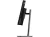 Lenovo ThinkVision P34WD-40 Skjermer