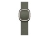 Apple Watch 42mm Modern Buckle (sage gray) Reim