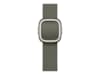 Apple Watch 42mm Modern Buckle (sage gray) Reim
