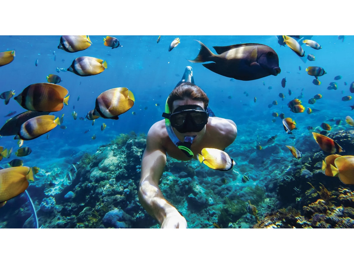 GoPro HERO11 Black Mini Protective Dive Housing Tilbehørssett til kamera