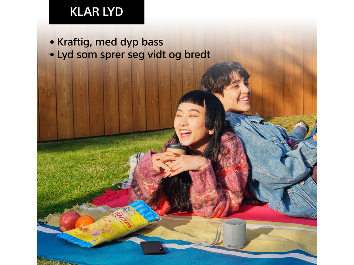 Sony SRS-XB100 Trådløs bluetooth høyttaler (grå) Trådløs / Bluetooth-høyttaler