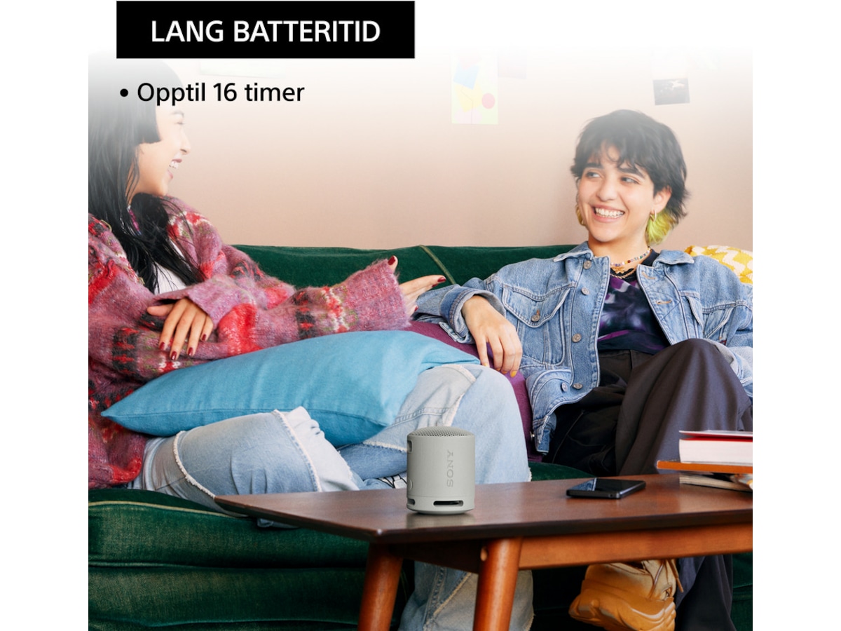 Sony SRS-XB100 Trådløs bluetooth høyttaler (grå) Trådløs / Bluetooth-høyttaler