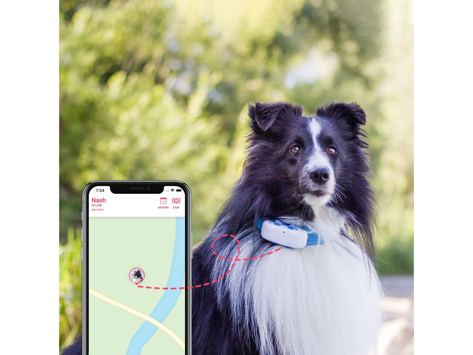 Tractive GPS for hund GPS og sporing Komplett.no