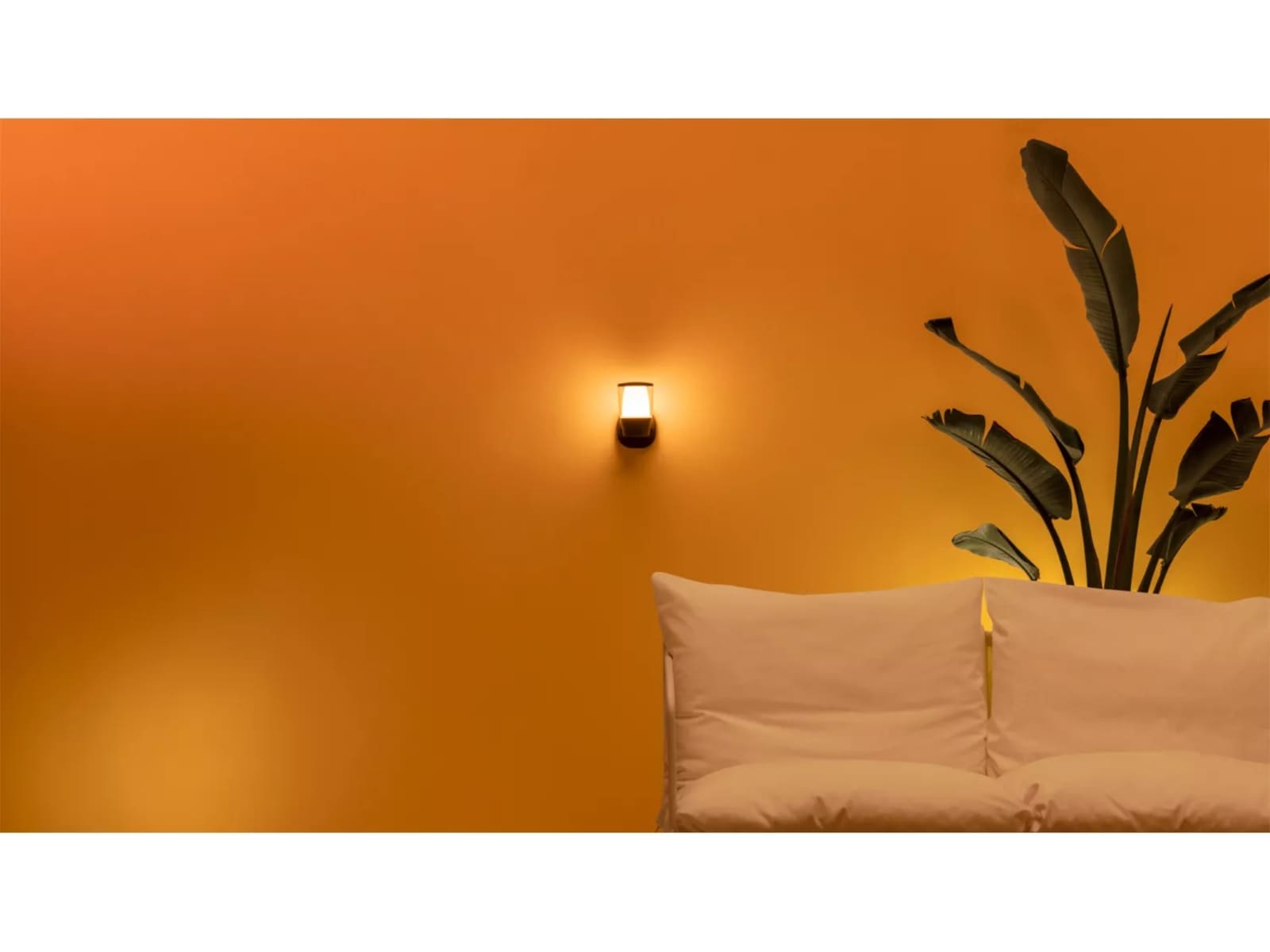 WiZ Utendørs ELPAS Vegglampe Vegglampe