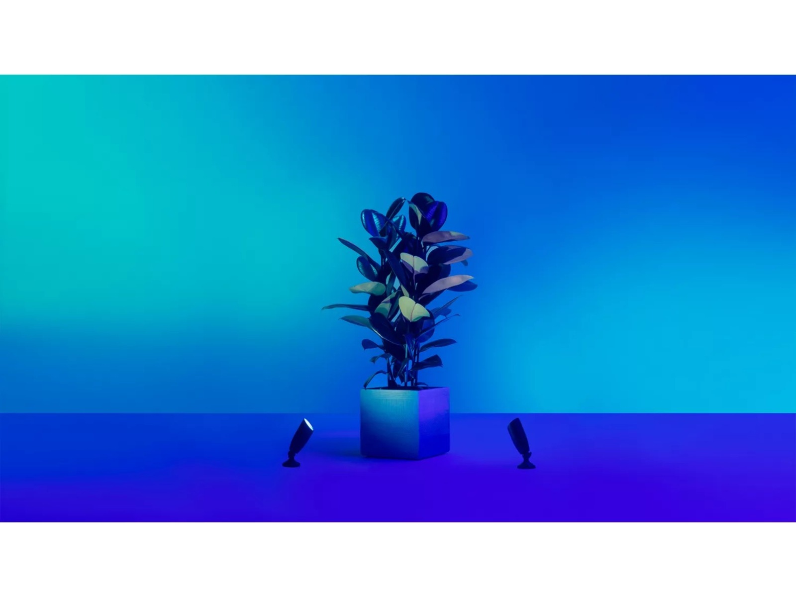 WiZ 12V Utvidelse for bakkespotlys Gulvlampe