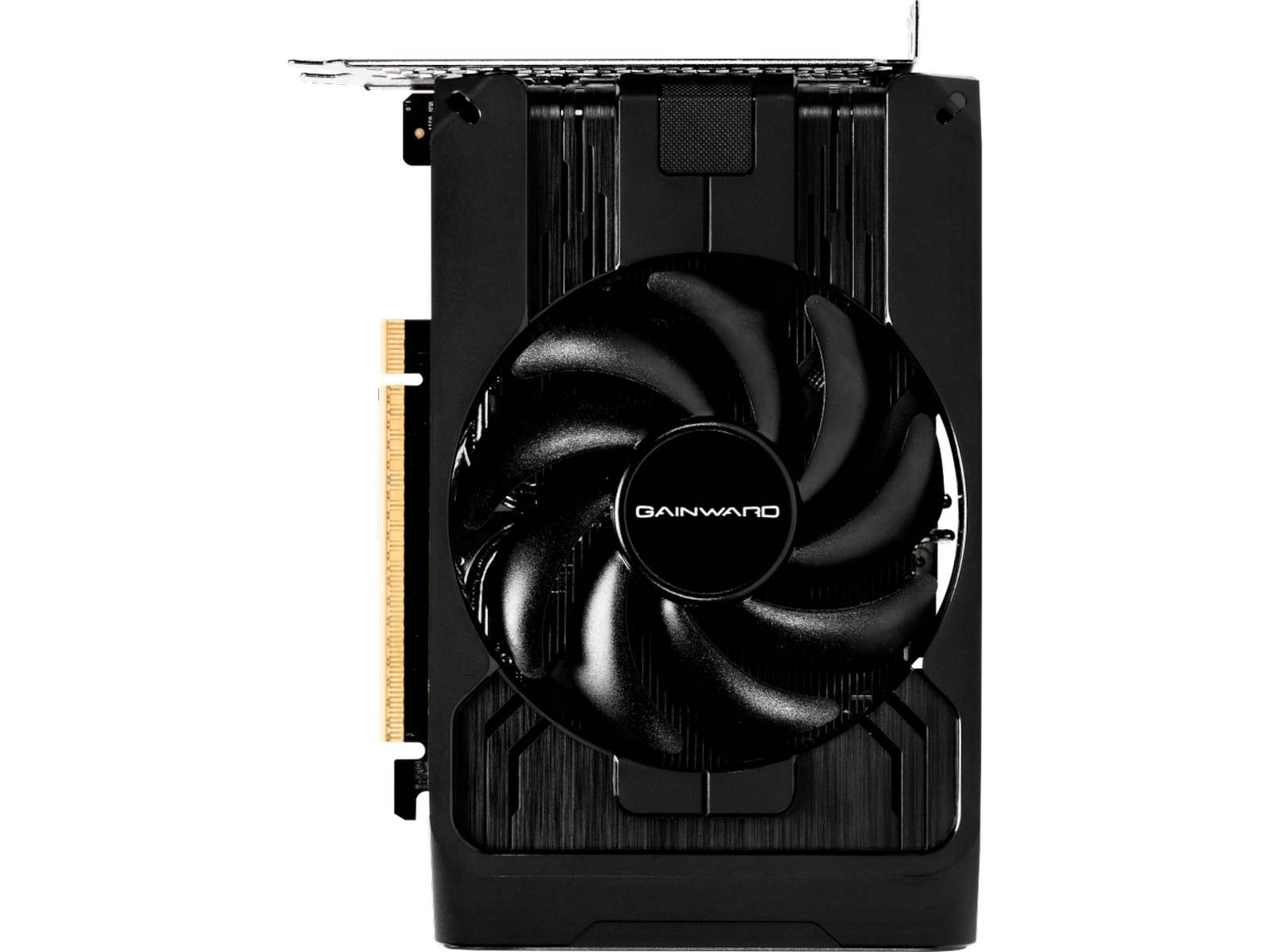 Gainward GeForce RTX 5050 Pegasus Skjermkort