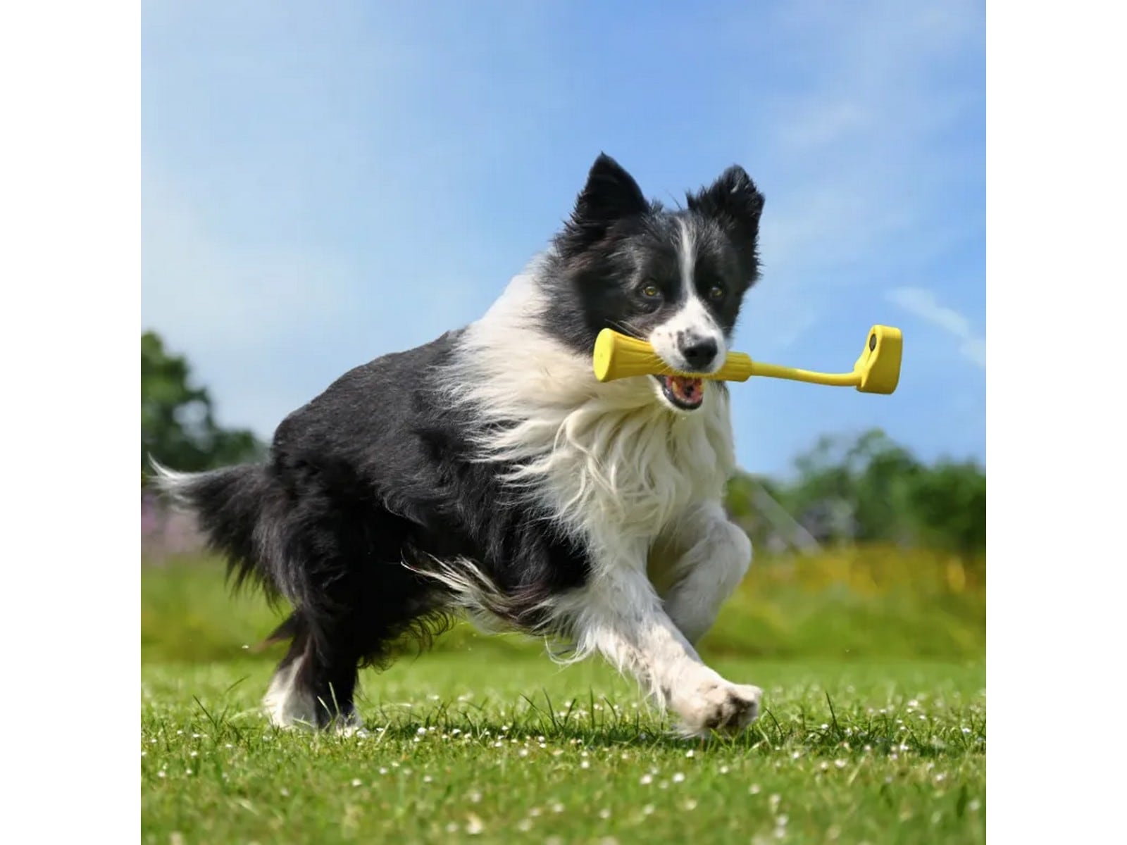 Insta360 GO 3 Fetch Stick Kameragrep