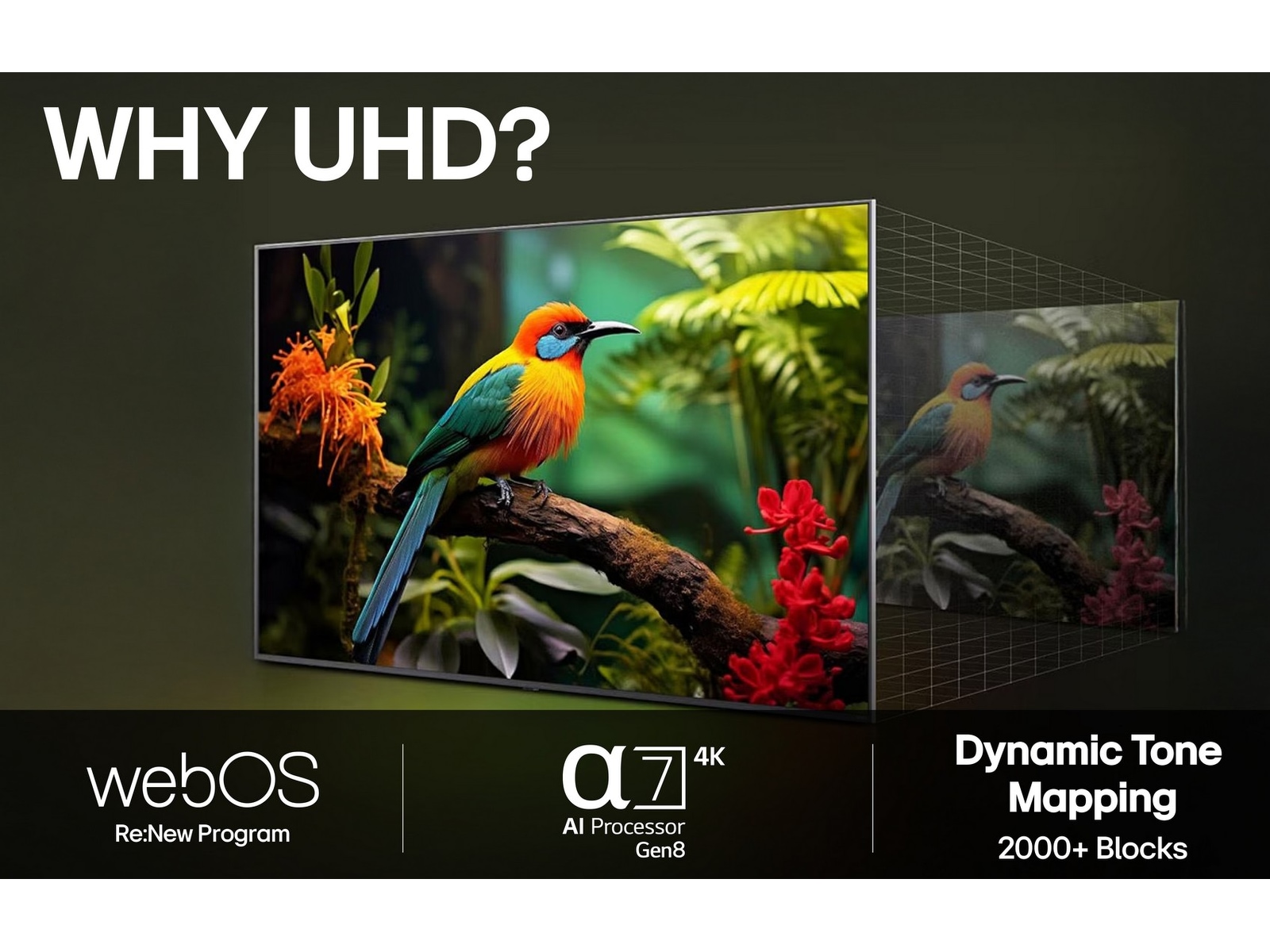 LG 55" UA73 AI 4K UHD Smart TV (2025) 50 - 59 tommer TV