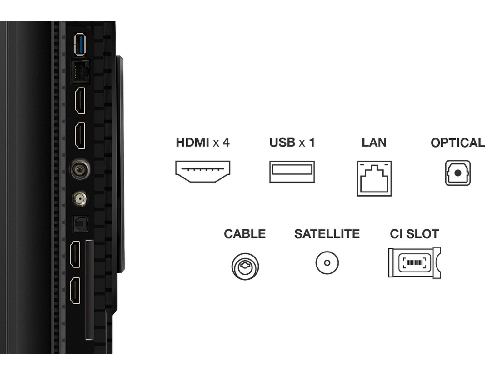 TCL 55" T8C 4K QLED Google TV (2025) 50 - 59 tommer TV