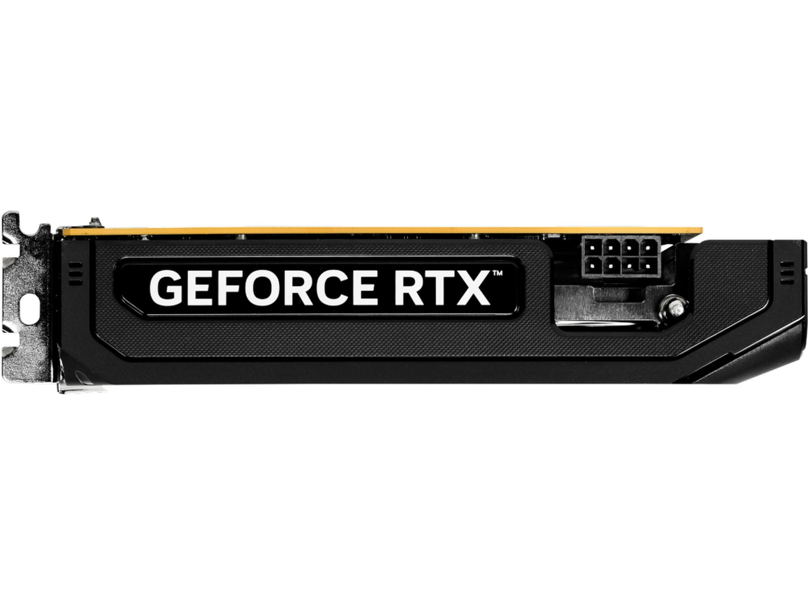 Gainward GeForce RTX 5050 Pegasus Skjermkort