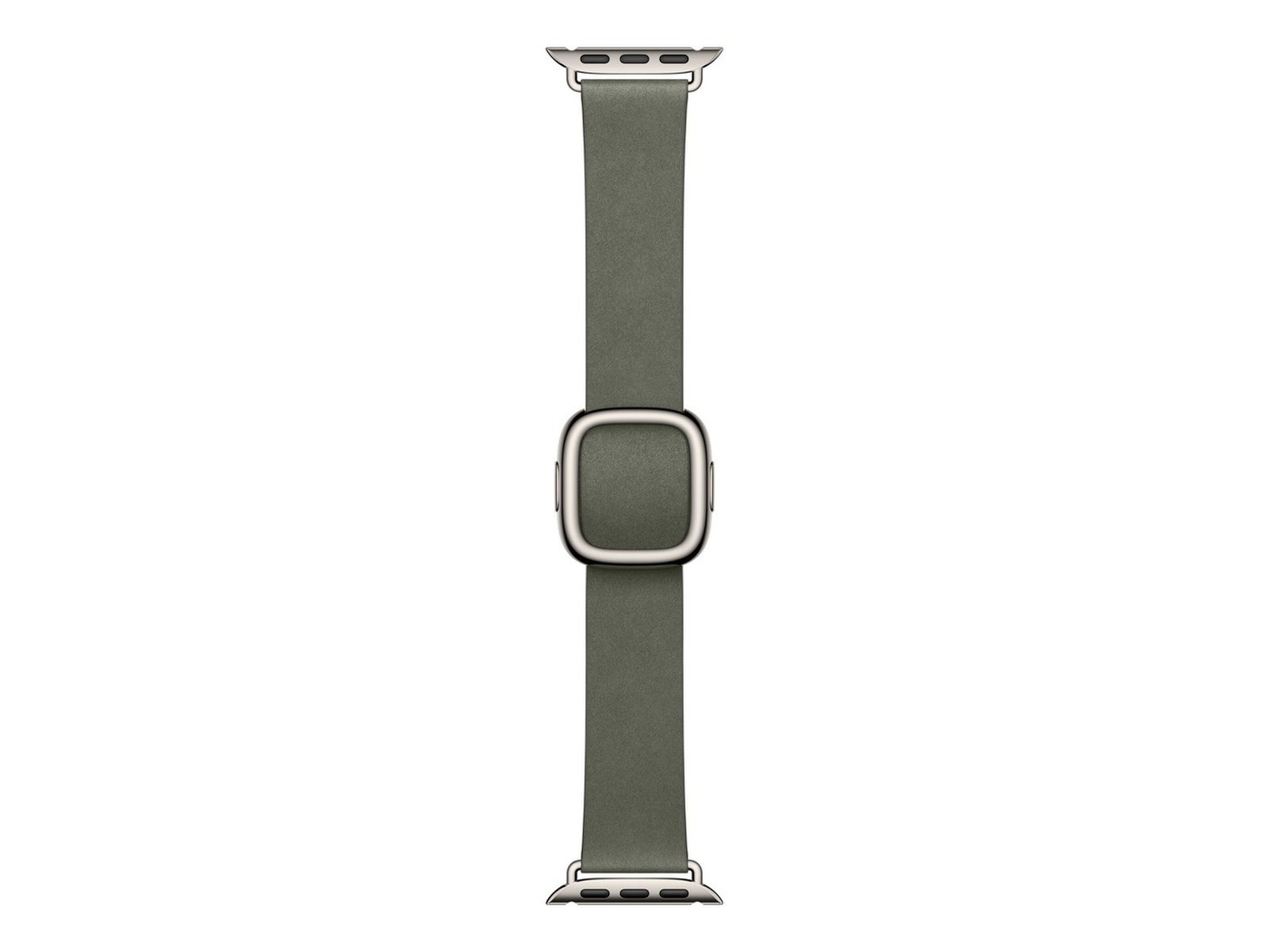 Apple Watch 42mm Modern Buckle (sage gray) Reim