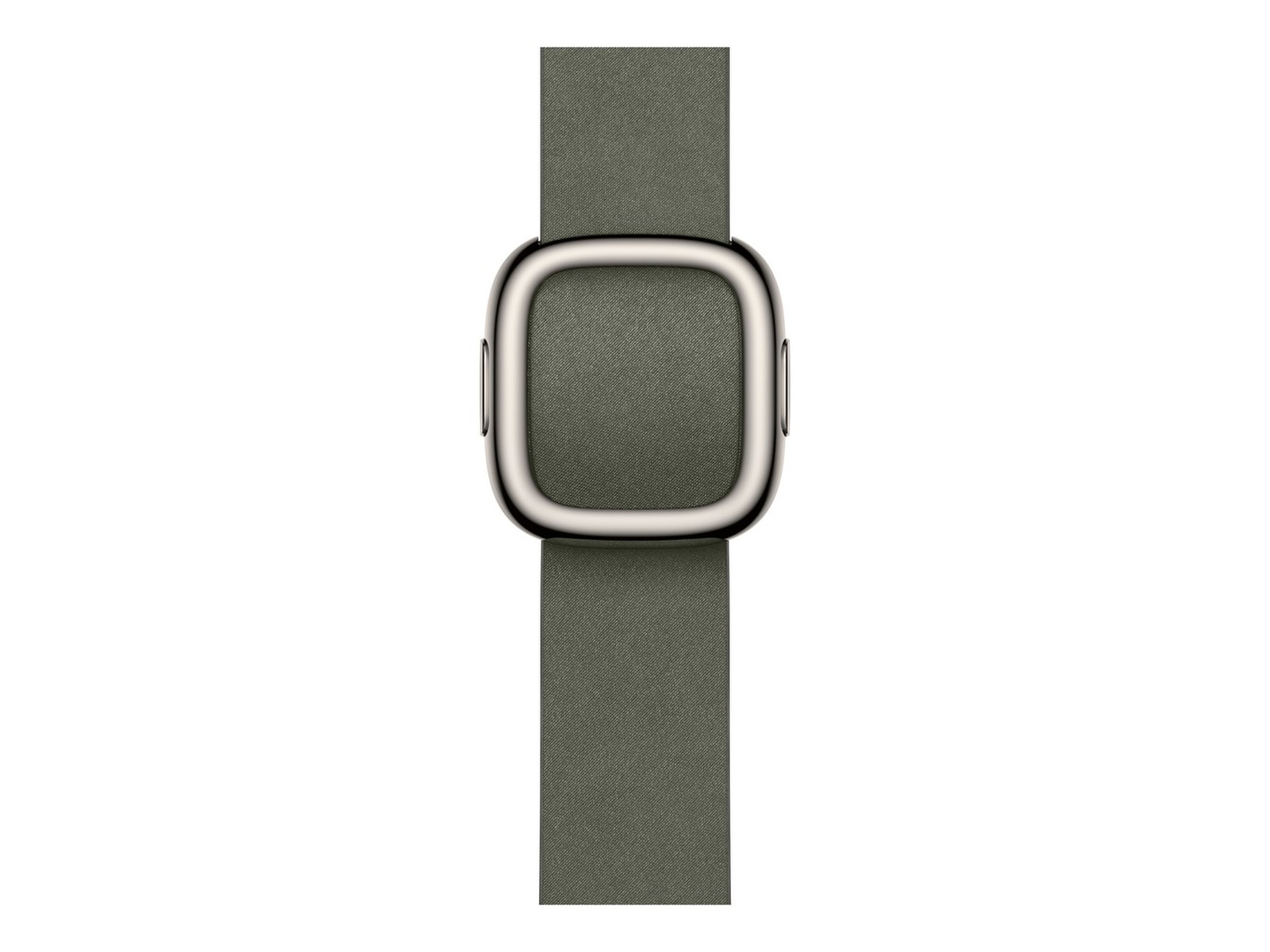Apple Watch 42mm Modern Buckle (sage gray) Reim