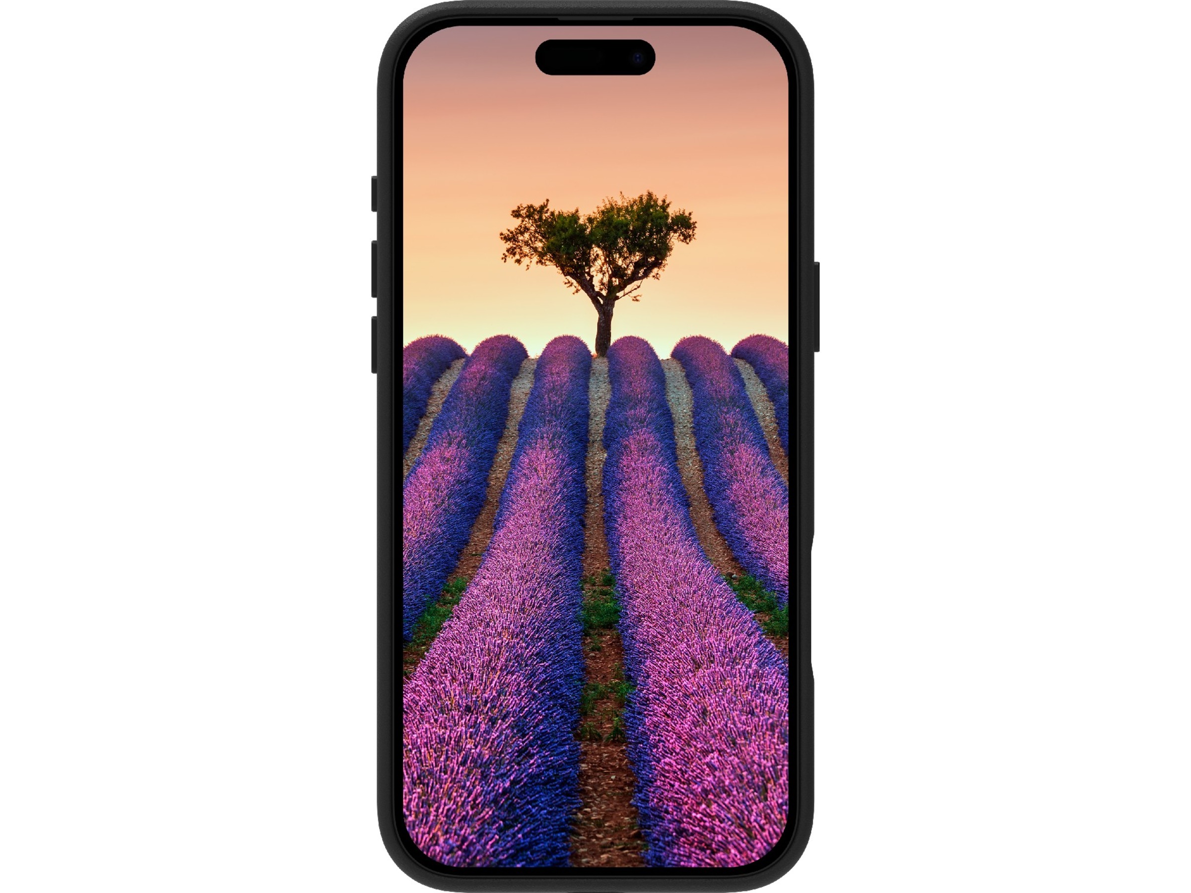 dbramante1928 iPhone 17 Pro Max Roskilde skinndeksel (sort) Mobildeksel