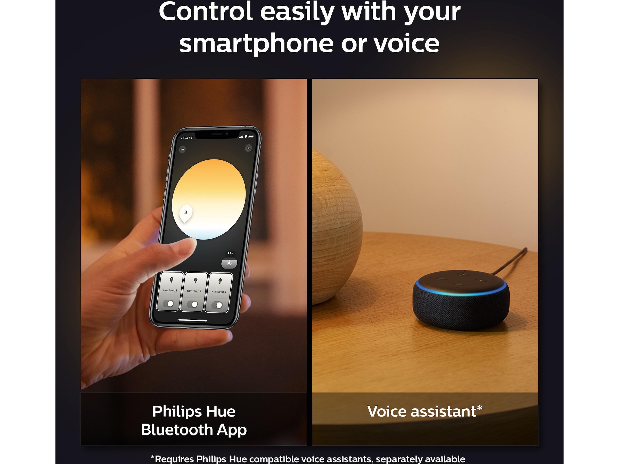 Philips Hue Enrave, liten taklampe (sort) Taklampe
