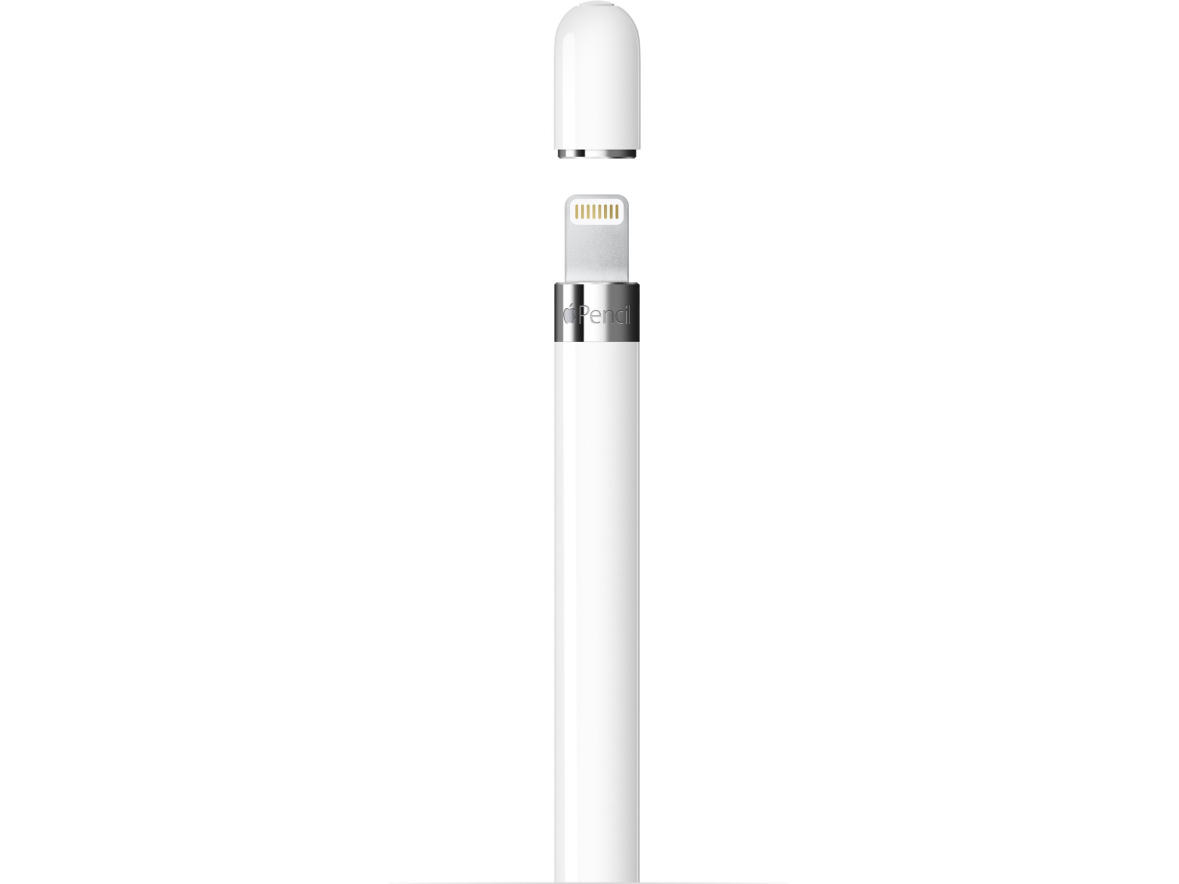 Apple Pencil (1st Generation) Tastatur og stylus
