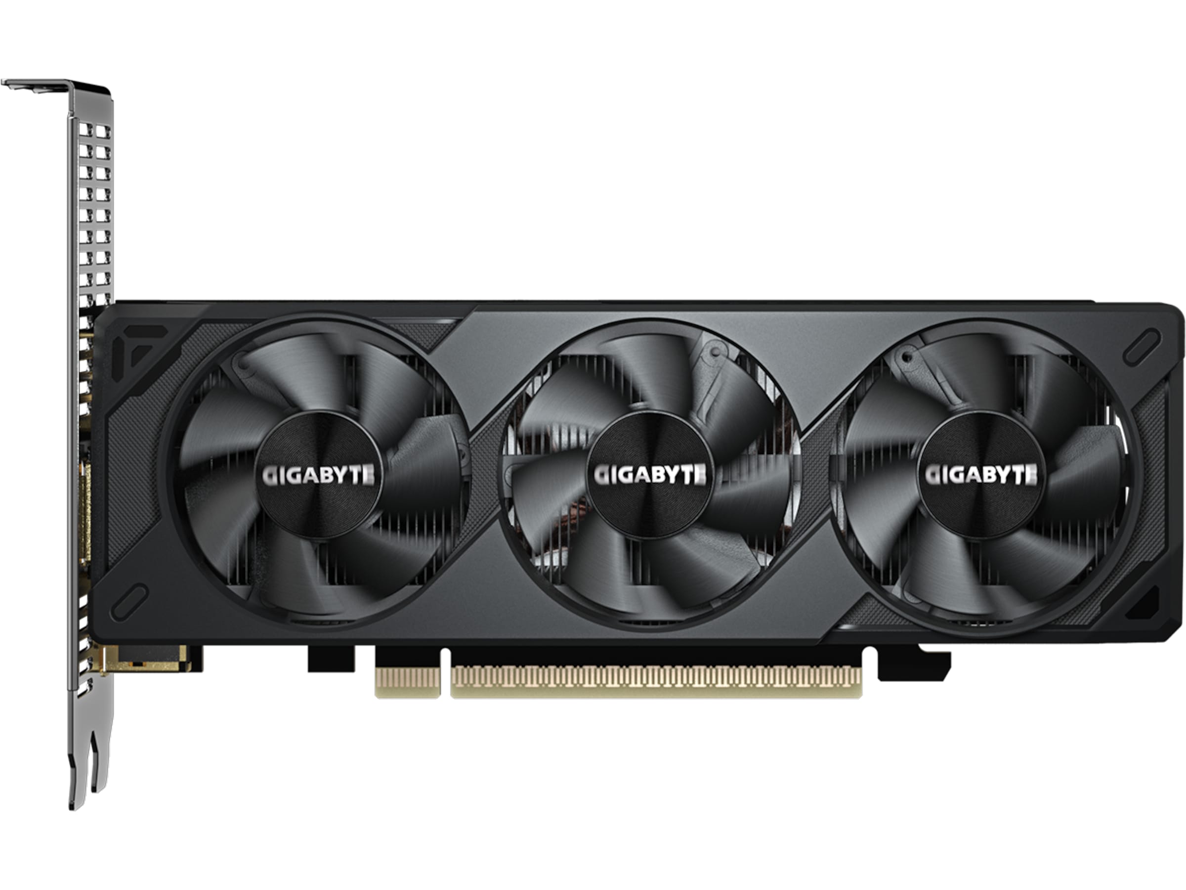 Gigabyte GeForce RTX 5050 OC Low Profile Skjermkort