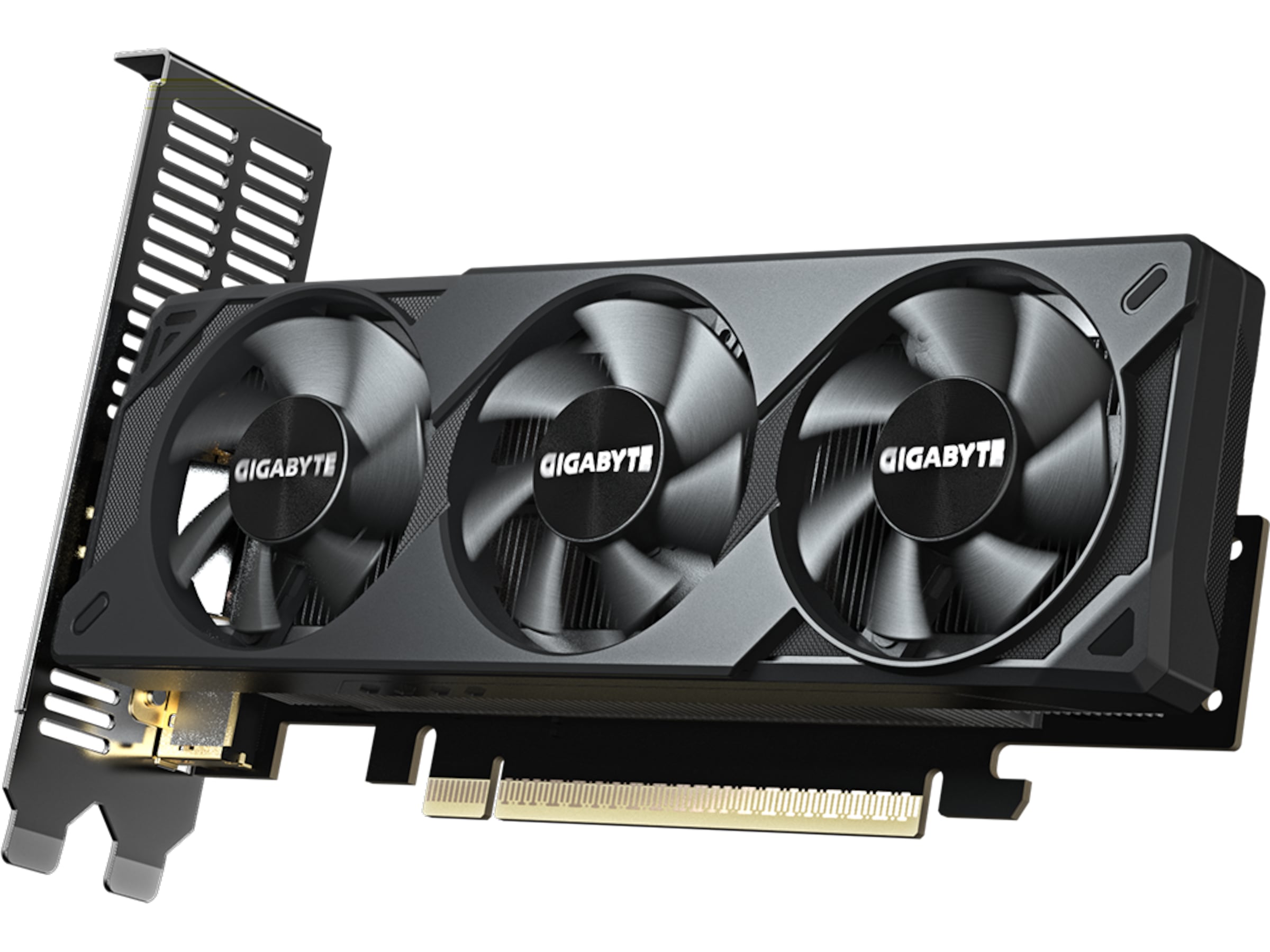 Gigabyte GeForce RTX 5050 OC Low Profile Skjermkort