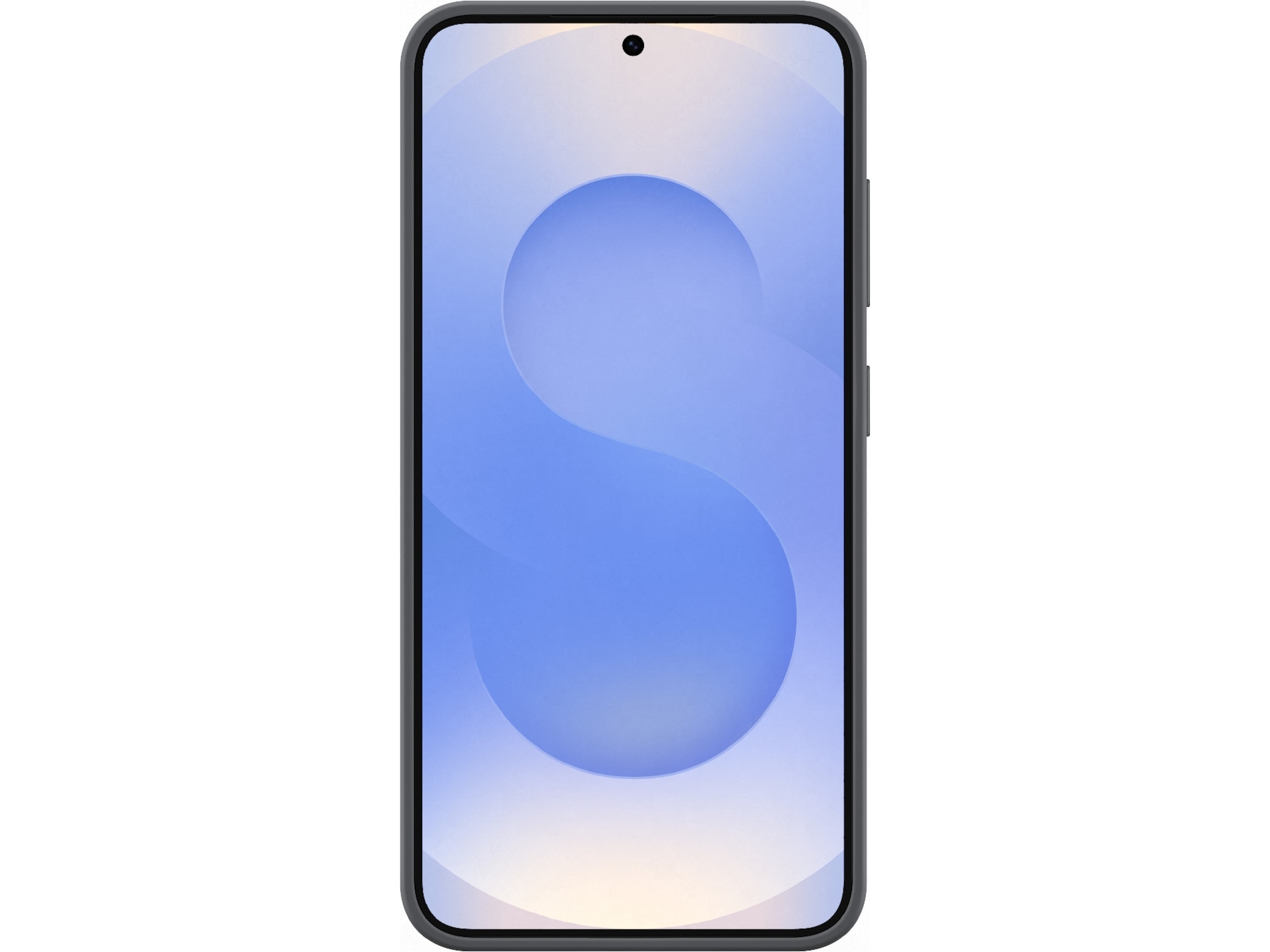 Samsung Galaxy S25 Silikondeksel (sort) Mobildeksel