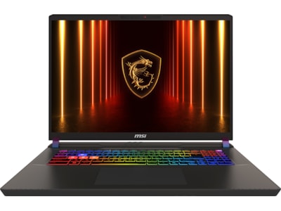 MSI Vector 17 HX AI 17" QHD+ 240Hz