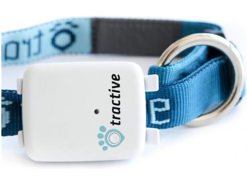 Tractive Dog Collar Small Komplett.no
