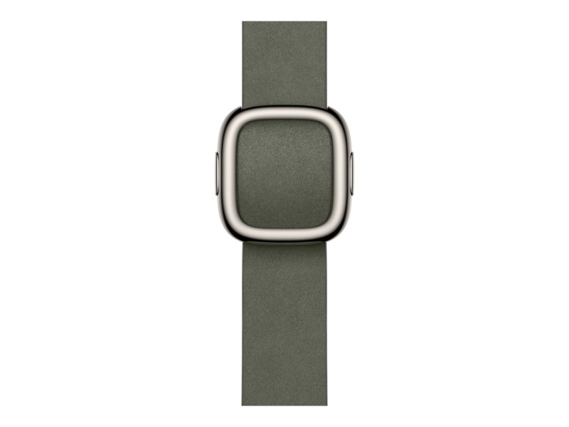 Apple Watch 42mm Modern Buckle (sage gray) Reim