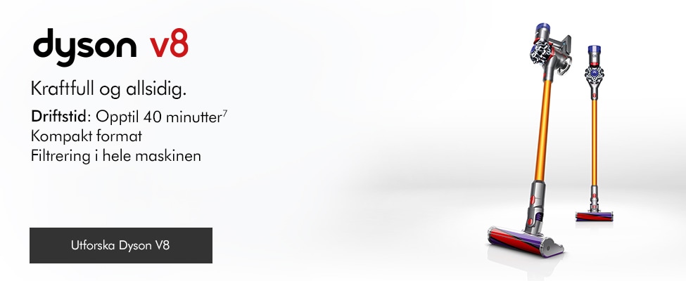 Dyson v8
