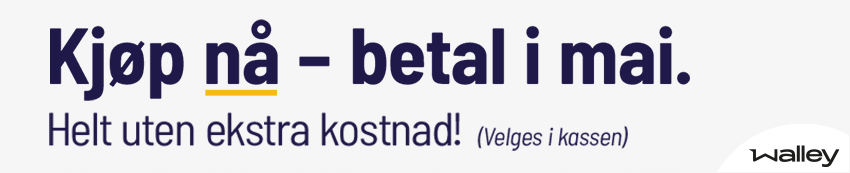 Betalingsutsetelse