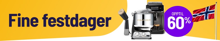 Fest dager