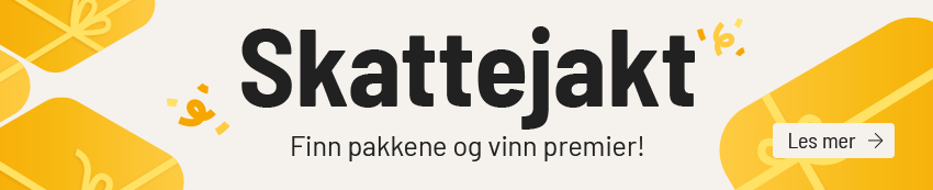 Skattejakt