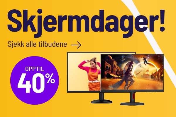 Skjermdager