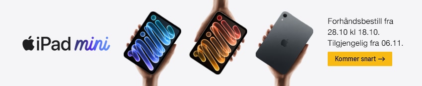 Apple Ipad
