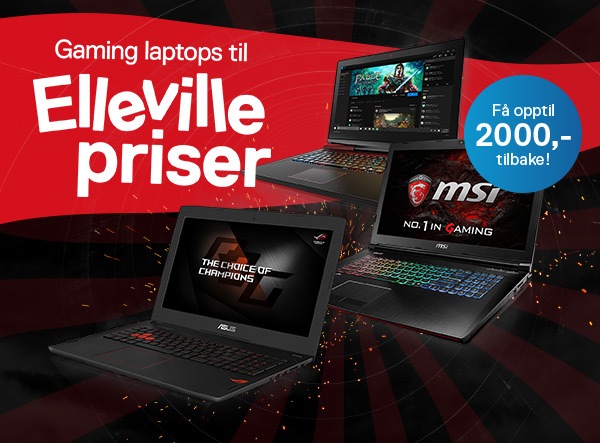 Elleville laptop-dager