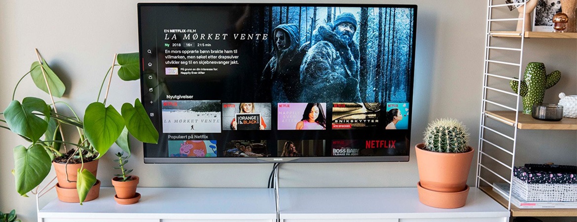 TV med Netflix