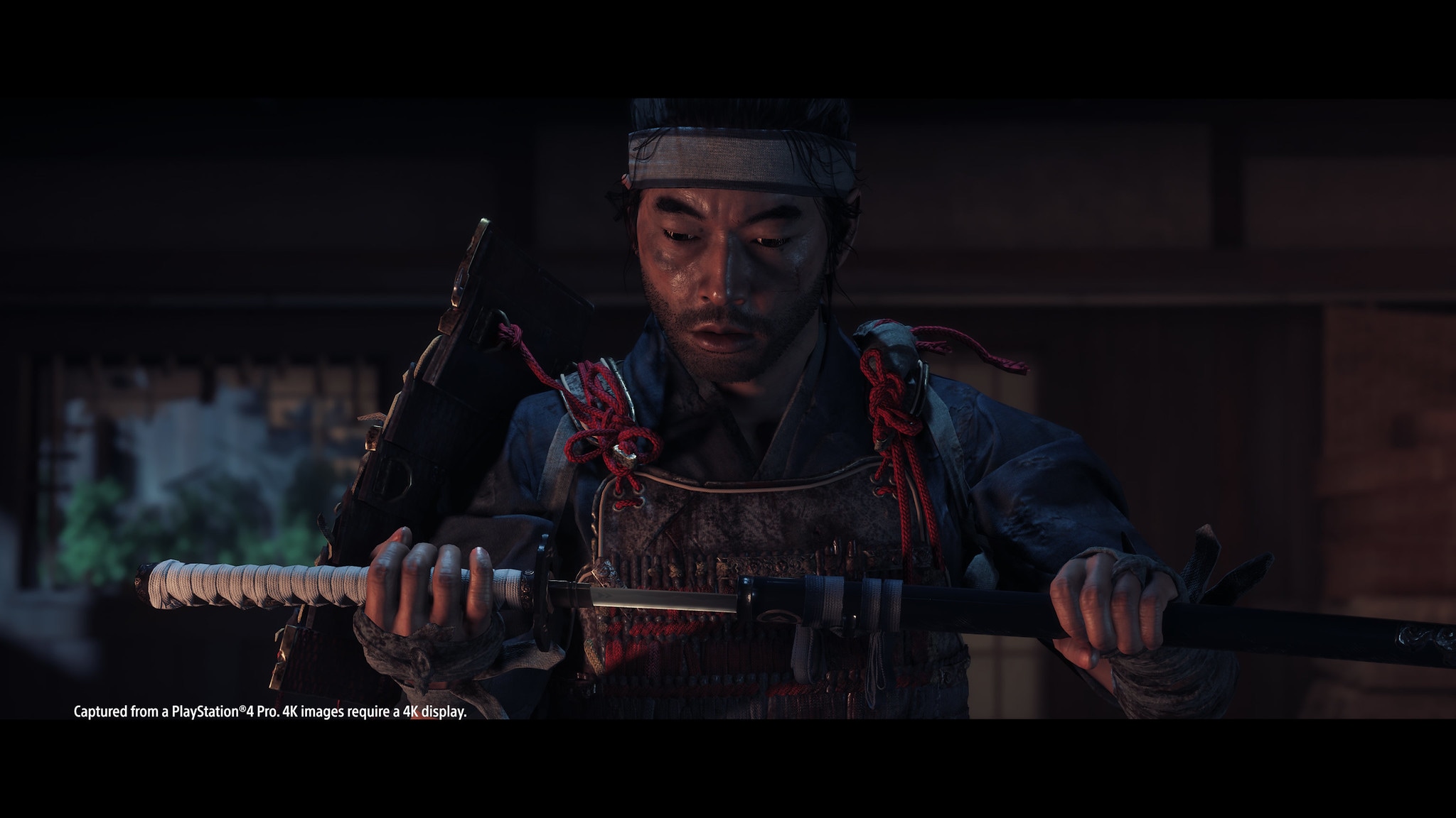 Ghost of Tsushima - Screenshot