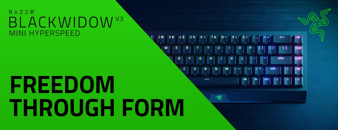BlackWidow v3