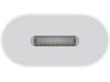 Apple USB-C til Lightning Adapter (hvit) Kabeladaptere & overganger