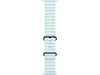 Apple Watch 49mm Black Titanium Ocean Band (ice blue) Reim