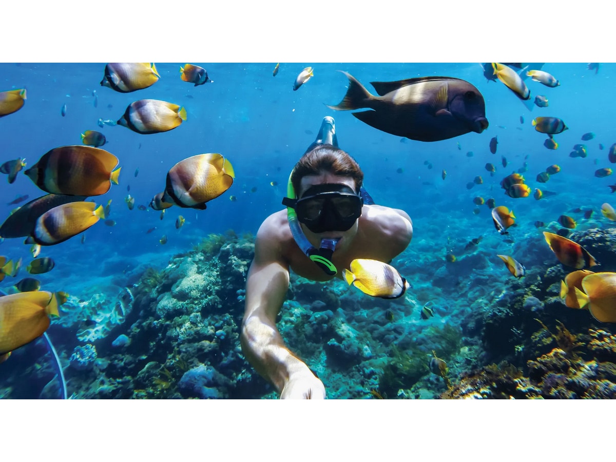 GoPro HERO11 Black Mini Protective Dive Housing Tilbehørssett til kamera