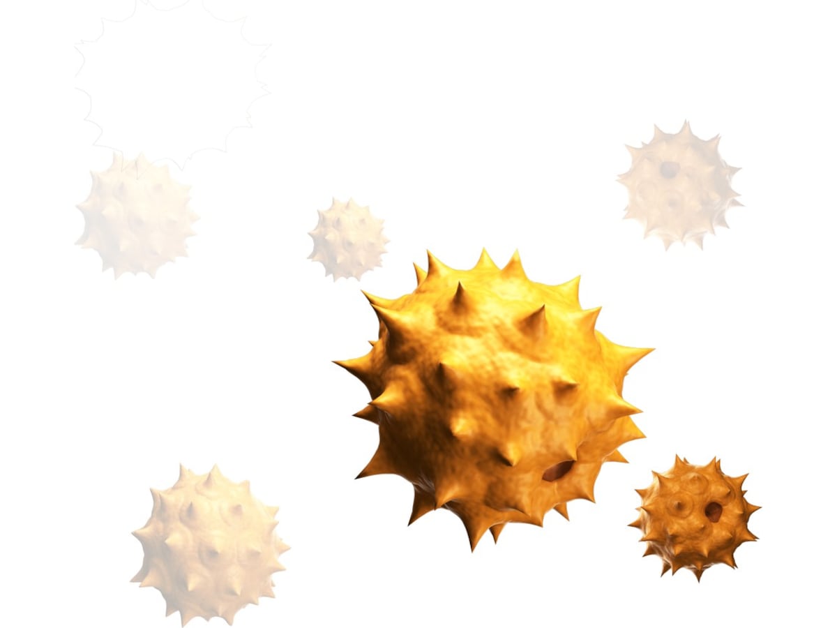 Smartmi Air Purifier 2 Luftrenser -B-Grade Demo hjem & fritid