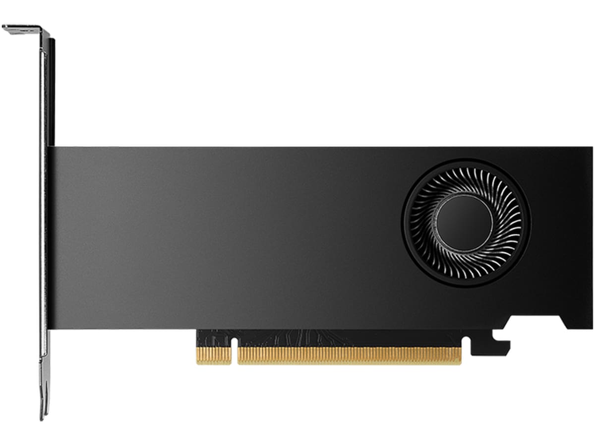 PNY Nvidia RTX 2000 Ada Generation Skjermkort