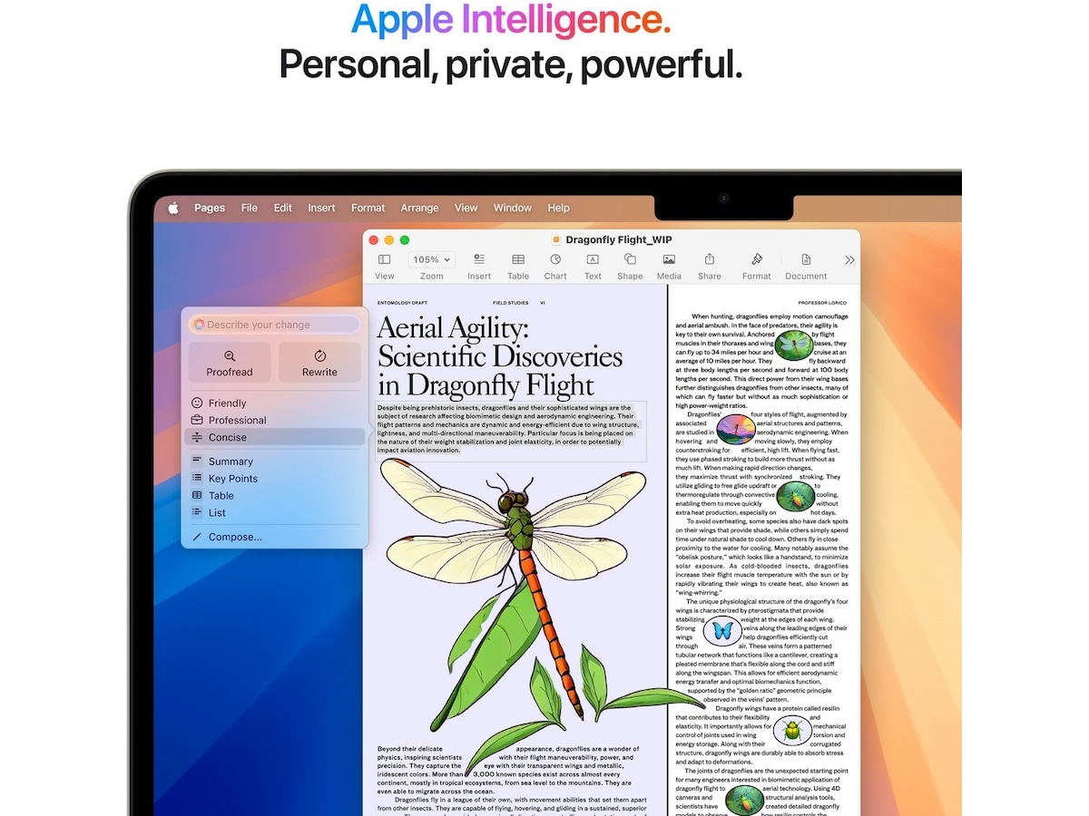 MacBook Air 13" M4 (2025) 512GB (stjerneskinn) PC - Bærbar / laptop