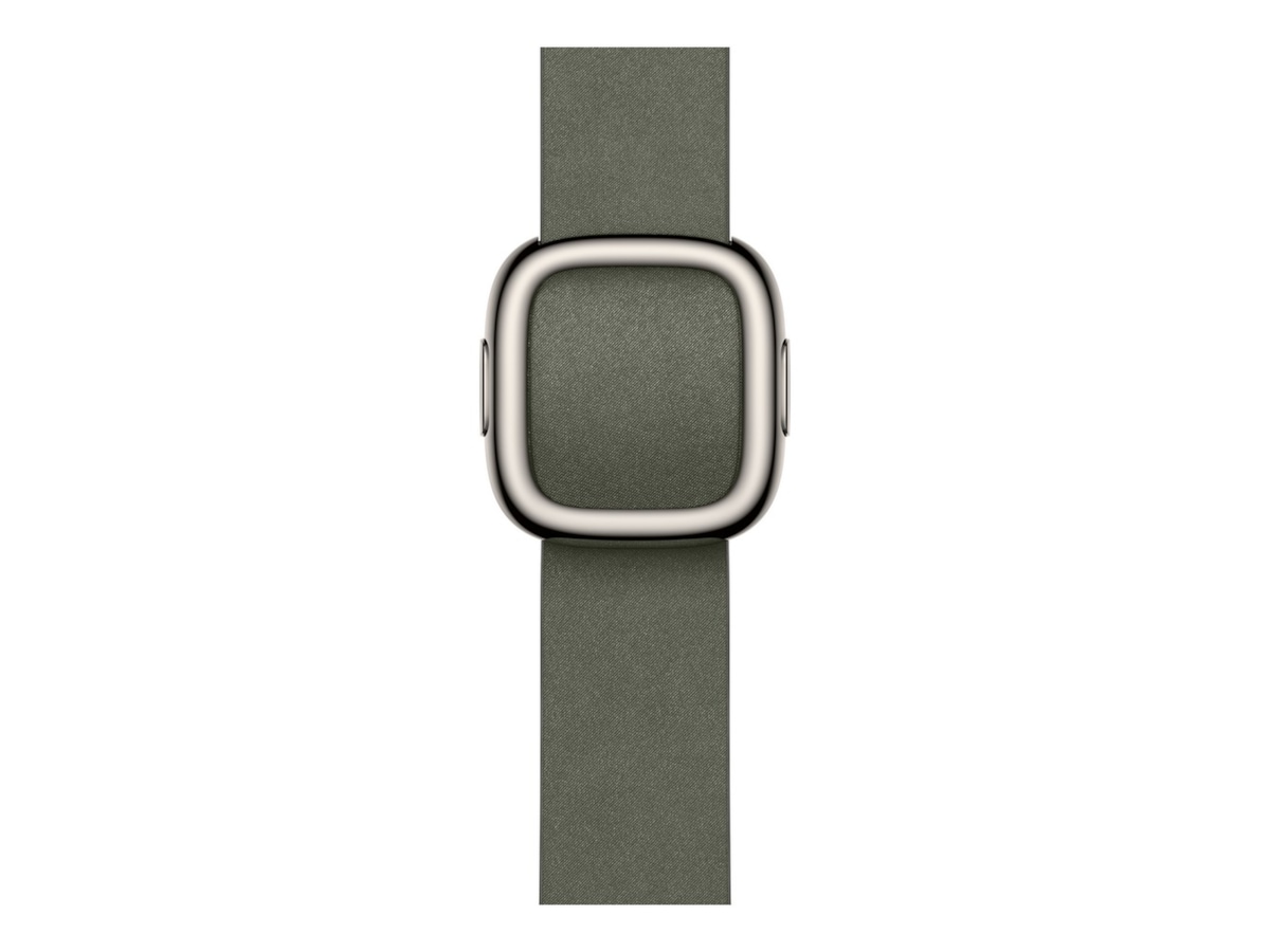 Apple Watch 42mm Modern Buckle (sage gray) Reim