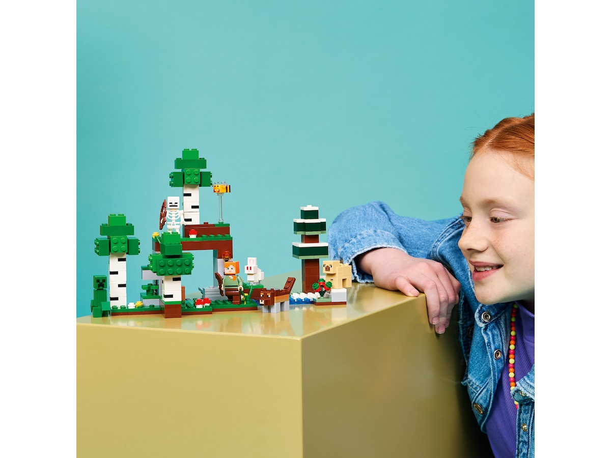 LEGO Minecraft Eventyr den første natten 21593 LEGO