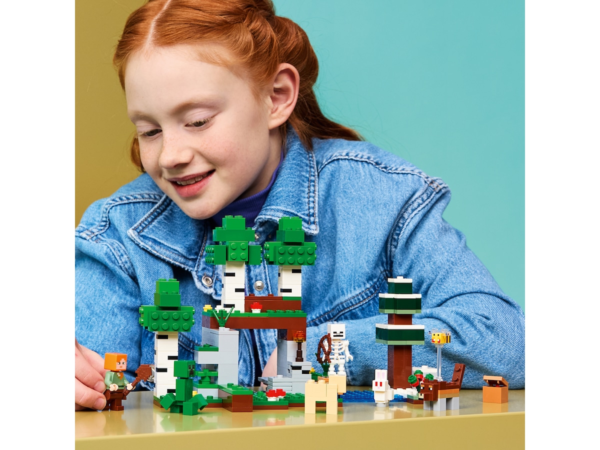 LEGO Minecraft Eventyr den første natten 21593 LEGO