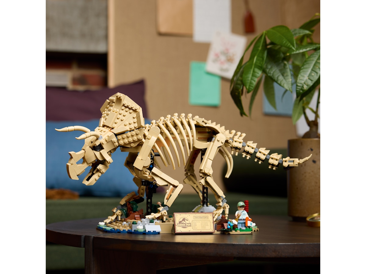 LEGO Jurassic World Dinosaurfossiler: Triceratops 77985  LEGO