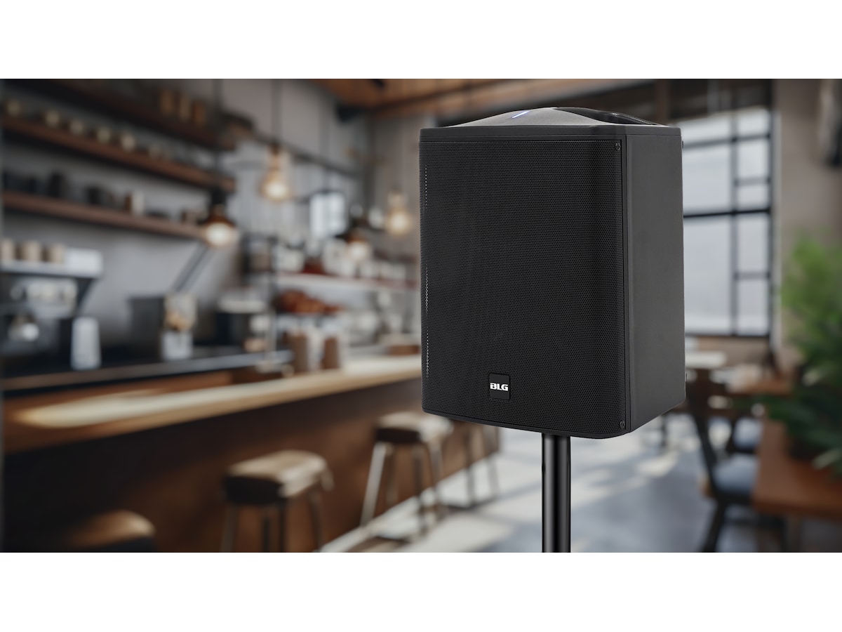 BLG 6.5" 100W Batteridrevet Høyttaler Trådløs / Bluetooth-høyttaler