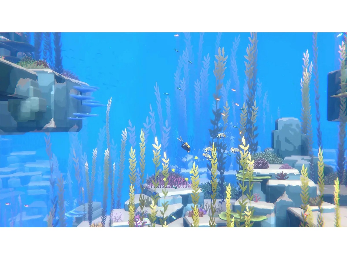 Dave the Diver Complete Edition Spill til Playstation 5