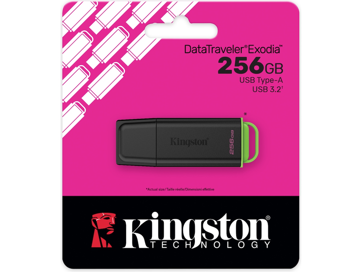 Kingston DataTraveler Exodia 256GB Minnepenn Minnepenn / USB