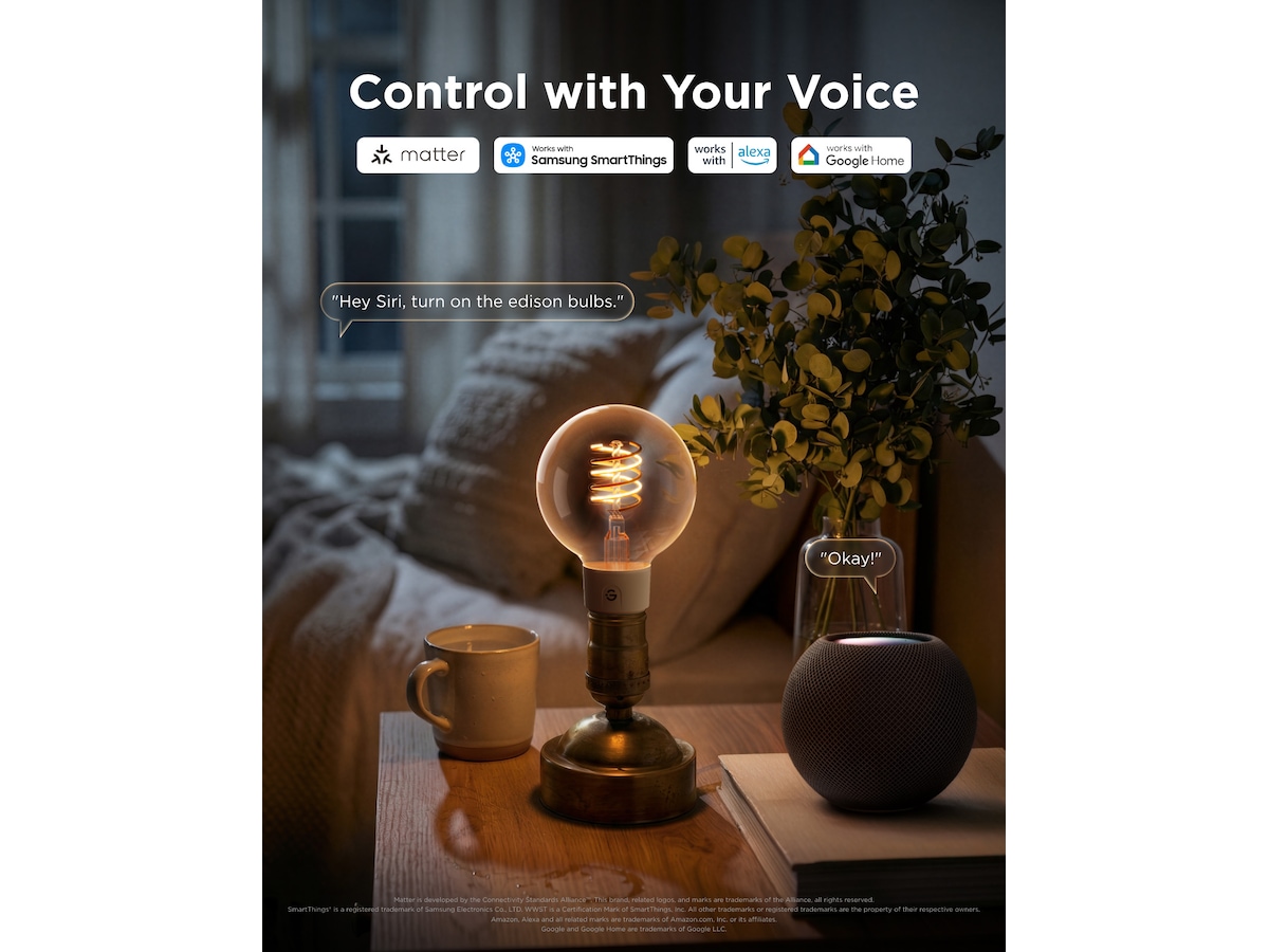 Govee Smart Edison Pærer 2-pack Lyspærer & LED-pærer