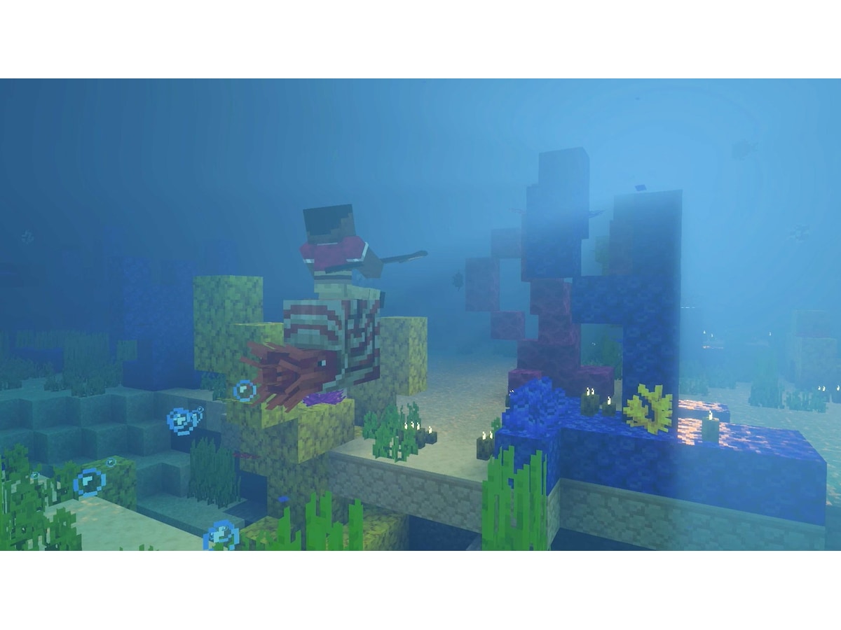 Minecraft Spill til Nintendo Switch 2